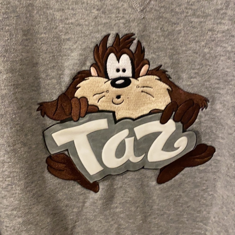 FINAL PRICE Vintage Warner Bros Taz Sweatshirt - Picture 3 of 5